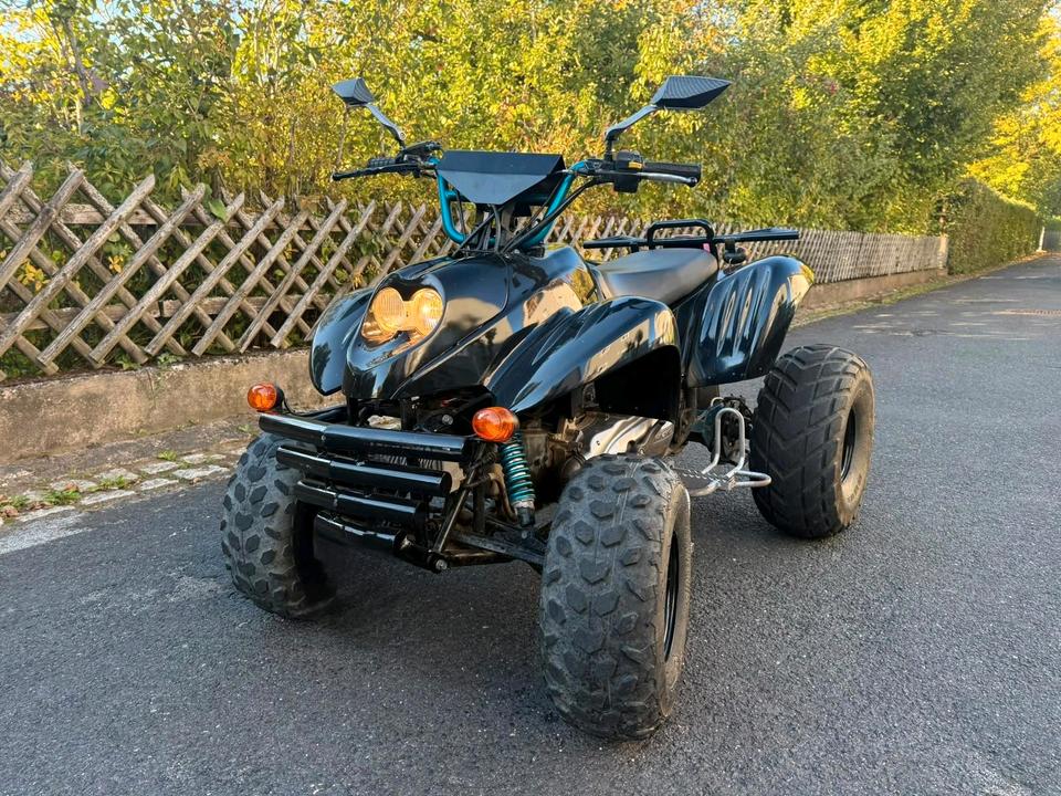 Weitere Motorräder Quad PGO XR X5 2004 — rear view