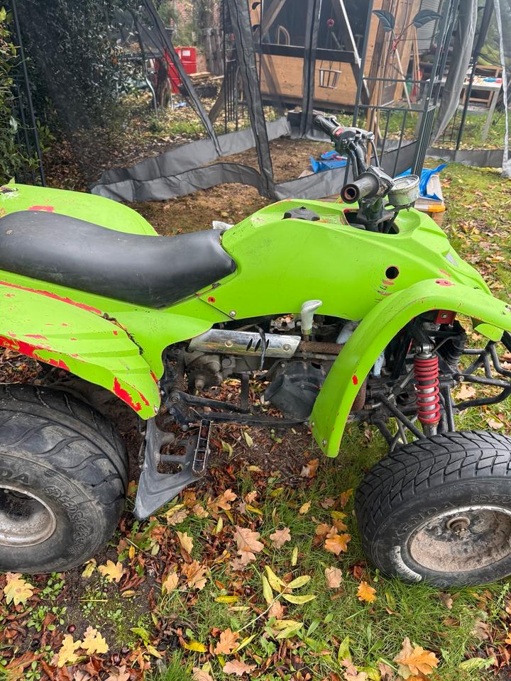  Adly 150 ccm Quad an Bastler 2005 — rear view