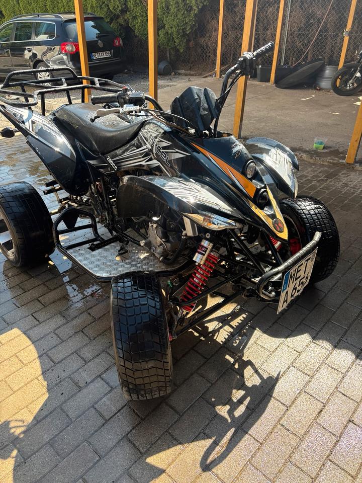 Gelöscht • Shinery Quad 250ccm 2012 — vehicle for AFU Ukraine