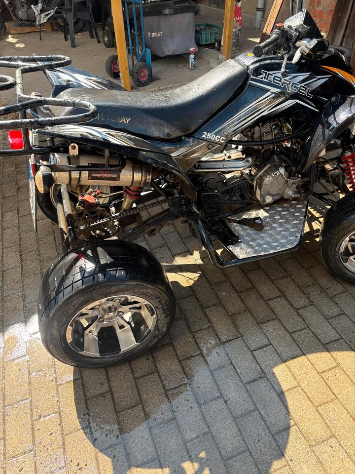  Gelöscht • Shinery Quad 250ccm 2012 — rear view