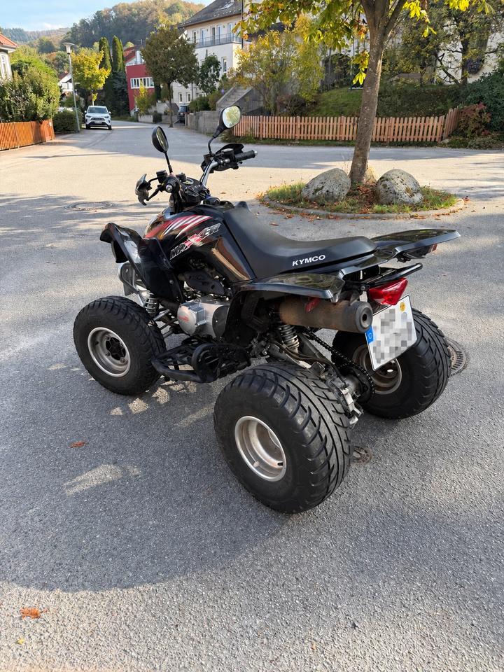 Kymco Maxxer 250 - Baujahr 2009 — вигляд ззаду