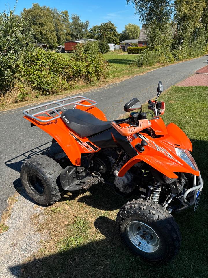 Kymco Maxxer 300 2014 — rear view