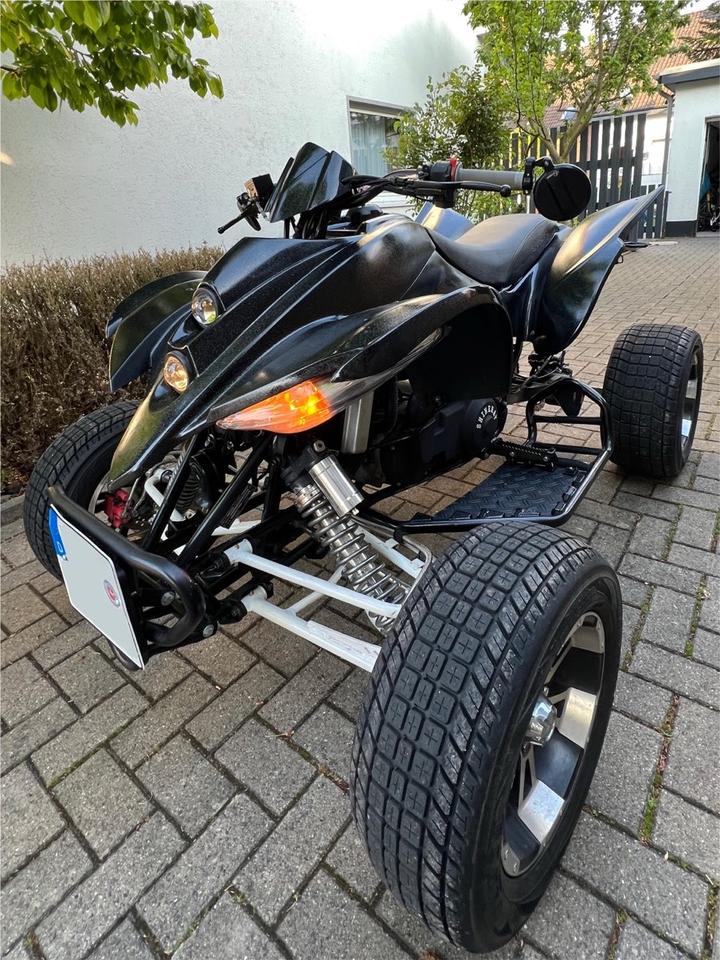 Sport Quad in Schwarz 250 2011 — rear view