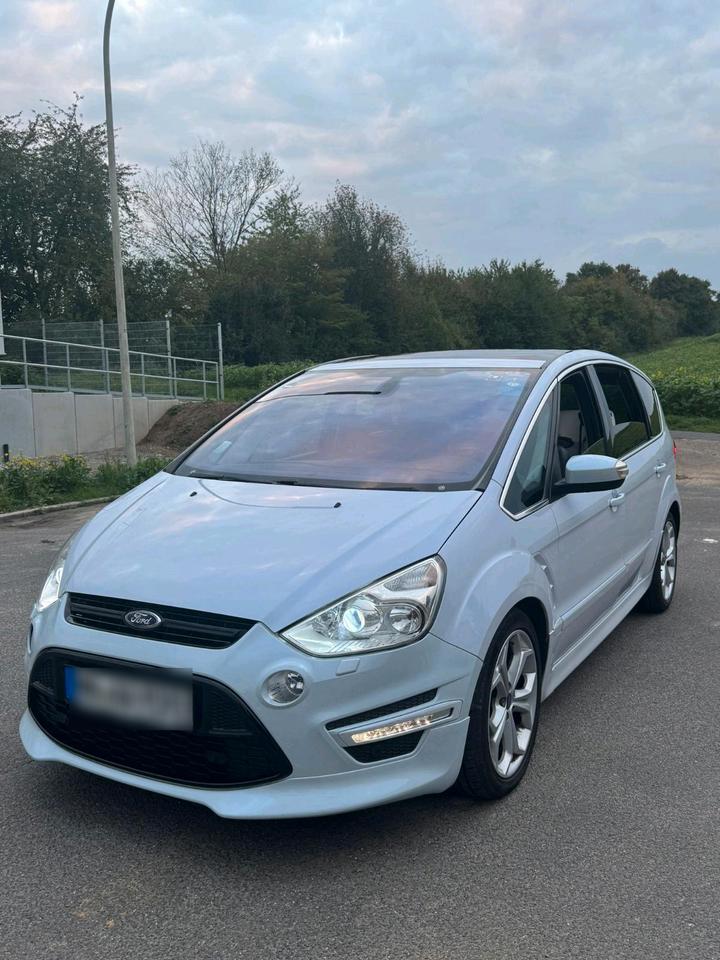 Ford S-Max 2014 — вигляд ззаду