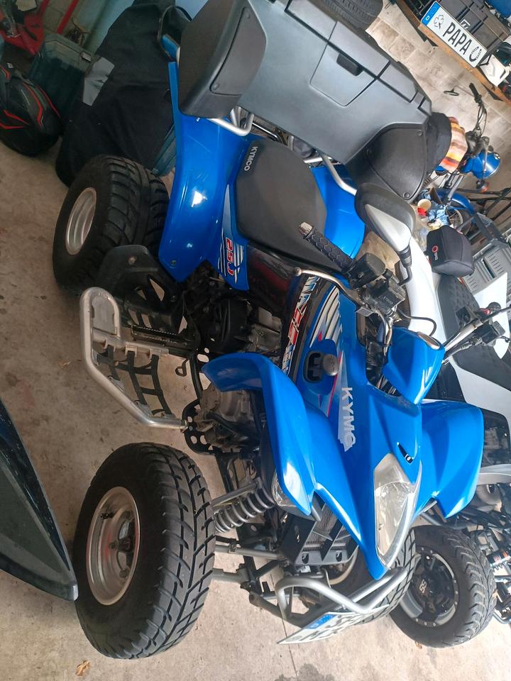 Kymco 250 Quad TÜV 2028 2010 — photo 5