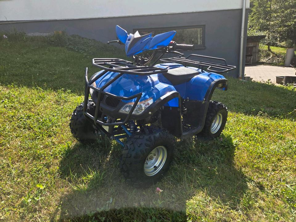 Weitere Motorräder Kinder-Quad 110ccm, vieles neu, technisch komplett überholt, 2013