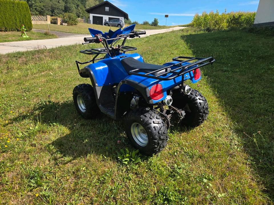 Weitere Motorräder Kinder-Quad 110ccm, vieles neu, technisch komplett überholt 2013 — rear view