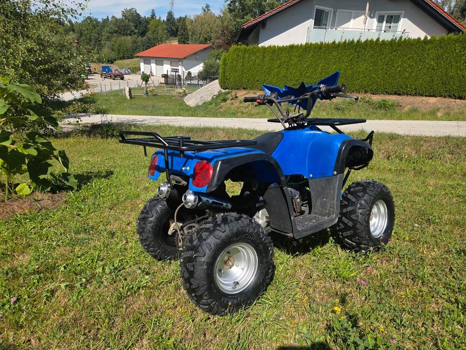 Weitere Motorräder Kinder-Quad 110ccm, vieles neu, technisch komplett überholt 2013 — interior