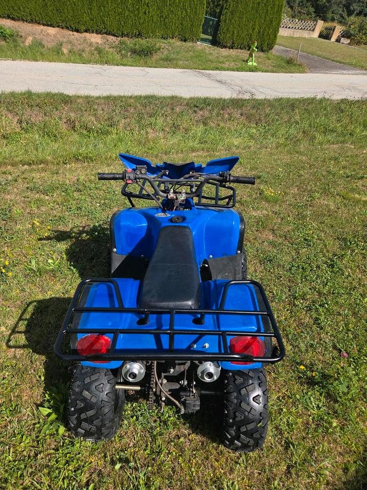 Weitere Motorräder Kinder-Quad 110ccm, vieles neu, technisch komplett überholt 2013 — photo 5