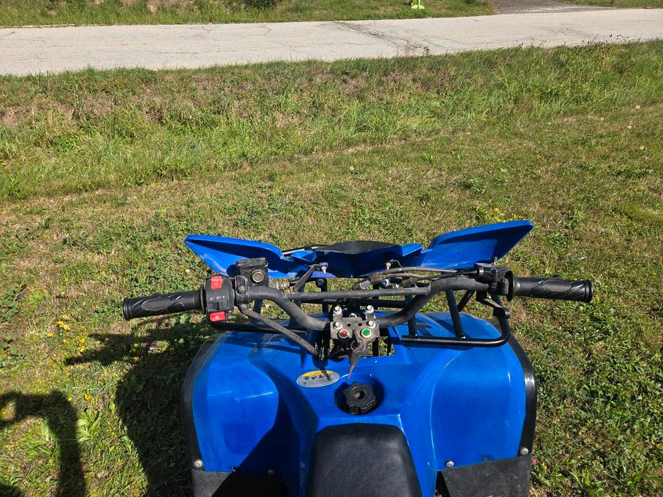 Weitere Motorräder Kinder-Quad 110ccm, vieles neu, technisch komplett überholt 2013 — photo 6