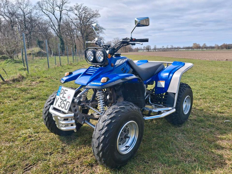 Yamaha Gelöscht • Yamaha warrior 350 2004 — вигляд ззаду