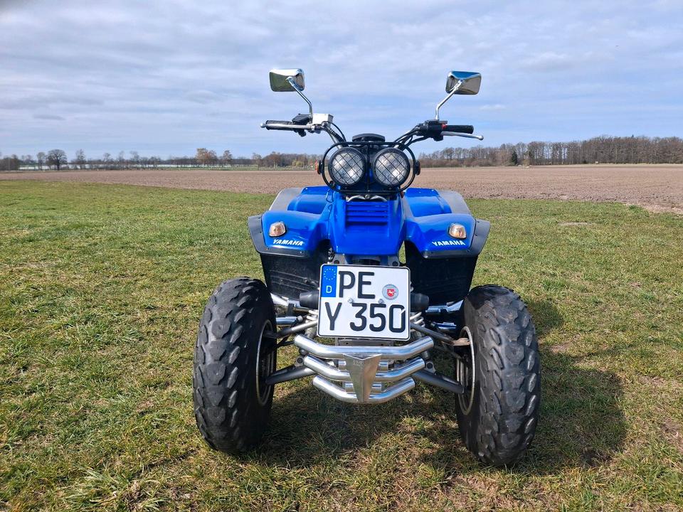 Yamaha Gelöscht • Yamaha warrior 350 2004 — салон