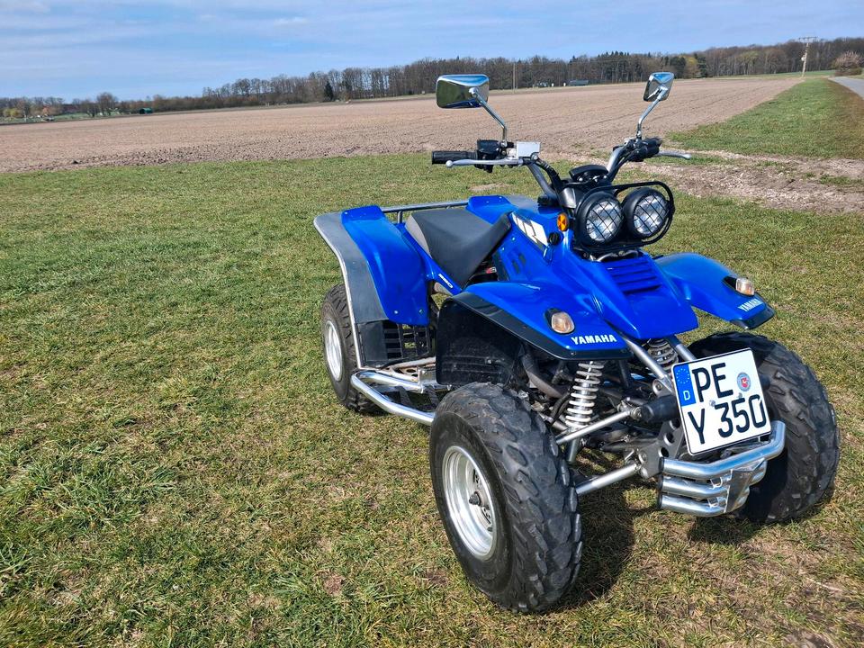 Yamaha Gelöscht • Yamaha warrior 350 2004 — двигун 350 ccm