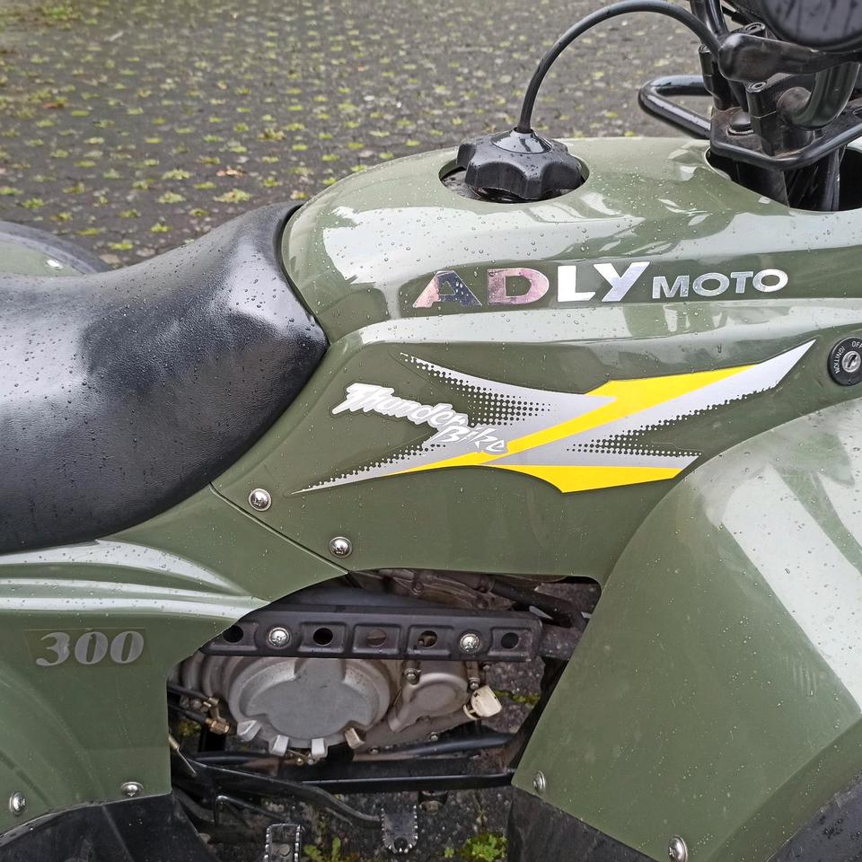  Quad ATV 300 Adly Moto 2005 — фото 10