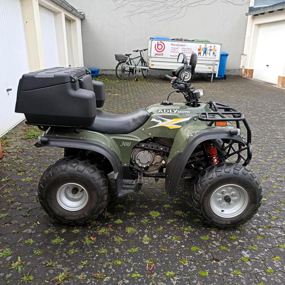  Quad ATV 300 Adly Moto 2005 — салон