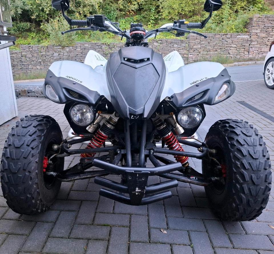 Weitere Motorräder Gelöscht • Quad Adly Herchee Beeline 500SM LOF TOP Zustand 50PS 2013 — rear view