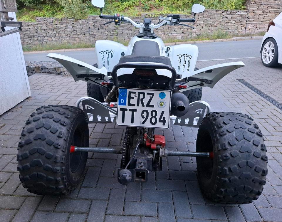 Weitere Motorräder Gelöscht • Quad Adly Herchee Beeline 500SM LOF TOP Zustand 50PS 2013 — photo 5