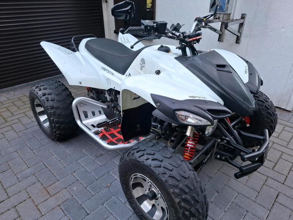 Weitere Motorräder Gelöscht • Quad Adly Herchee Beeline 500SM LOF TOP Zustand 50PS 2013 — photo 8