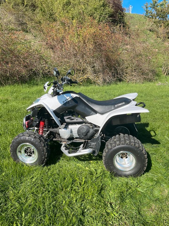 Kymco Gelöscht • Quad Kymco Maxxer 300, 2011