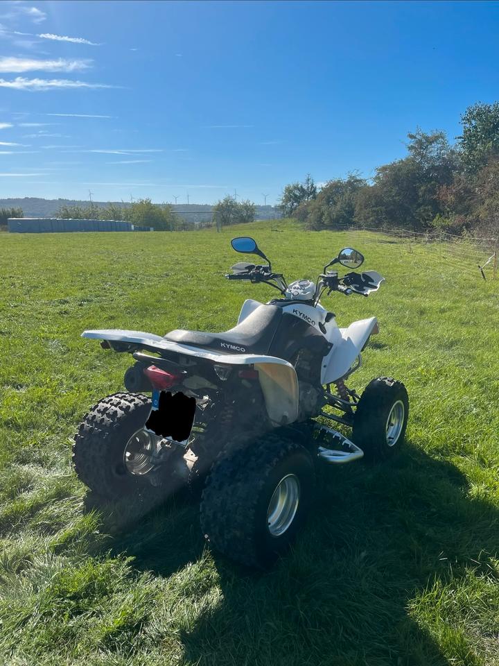 Kymco Gelöscht • Quad Kymco Maxxer 300 2011 — rear view