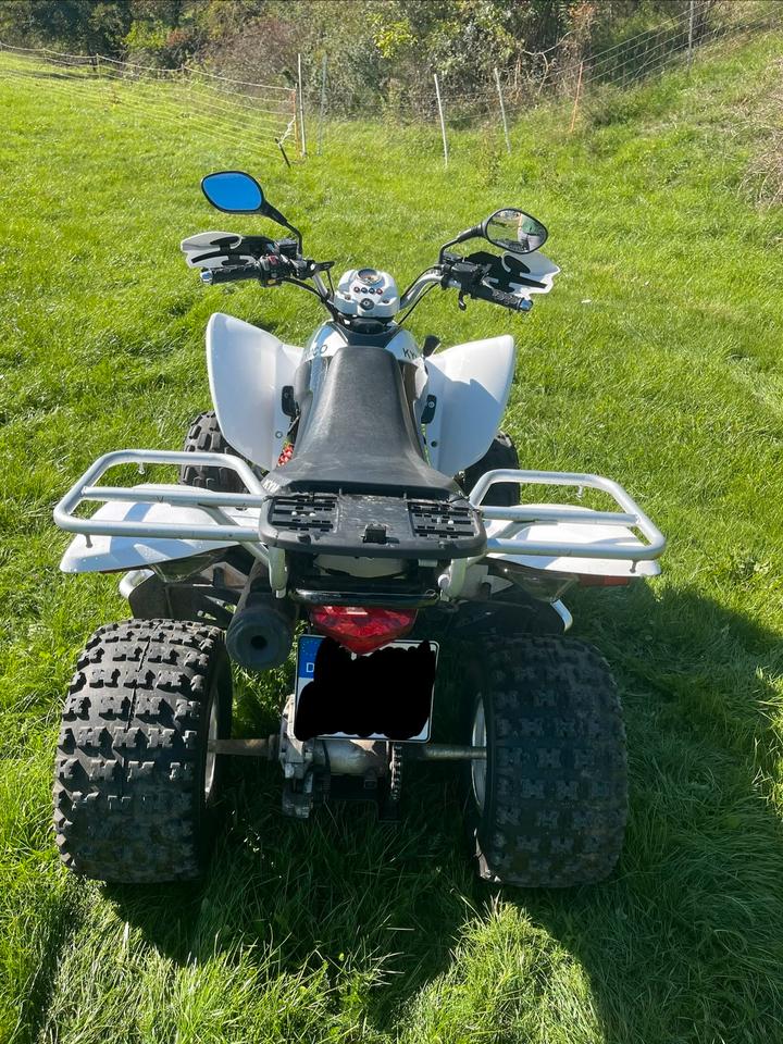 Kymco Gelöscht • Quad Kymco Maxxer 300 2011 — interior
