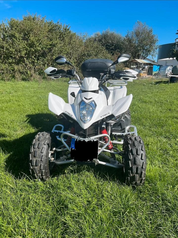 Kymco Gelöscht • Quad Kymco Maxxer 300 2011 — engine
