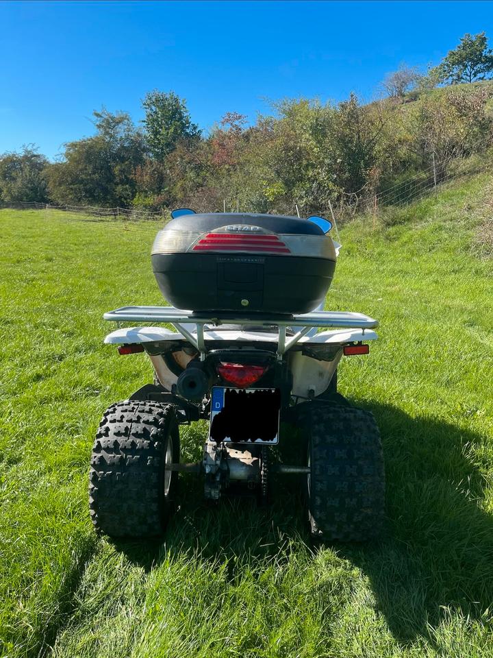 Kymco Gelöscht • Quad Kymco Maxxer 300 2011 — photo 7