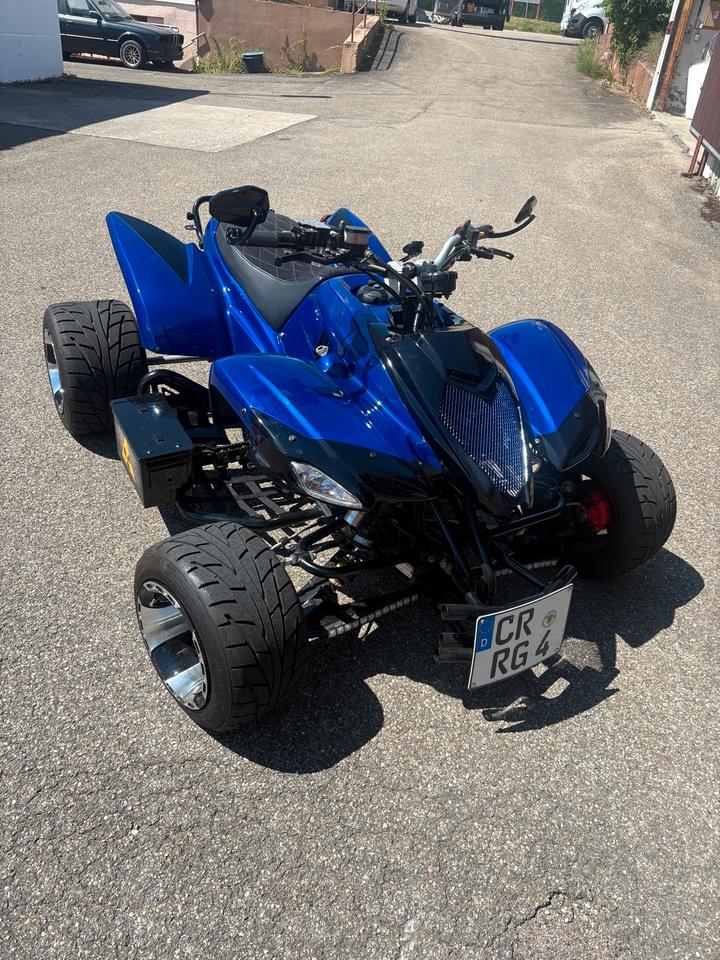 Weitere Motorräder Quad Beeline Bestia ATV 500 Top Zustand, 2012
