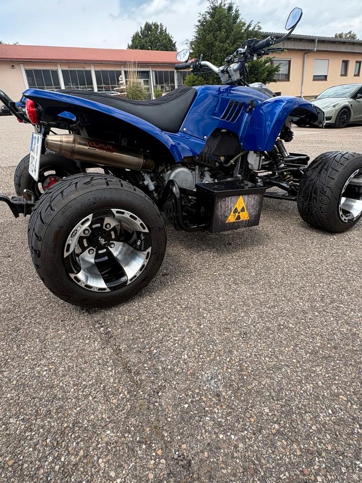 Weitere Motorräder Quad Beeline Bestia ATV 500 Top Zustand 2012 — photo 7