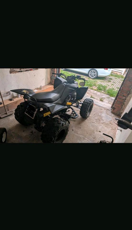  Quad CPI XS 250 2007 — rear view