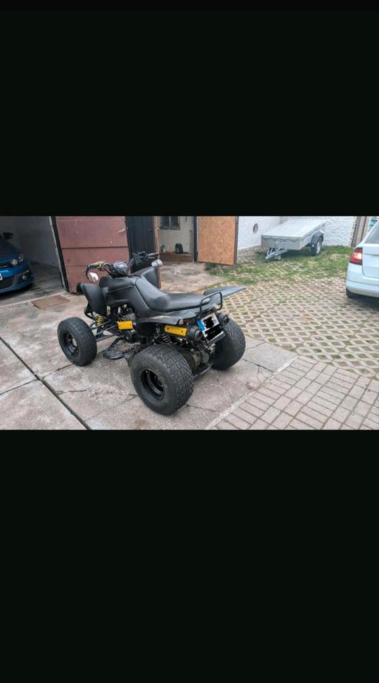  Quad CPI XS 250 2007 — photo 5