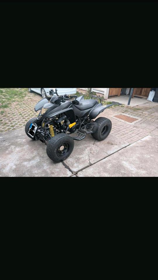  Quad CPI XS 250 2007 — photo 6