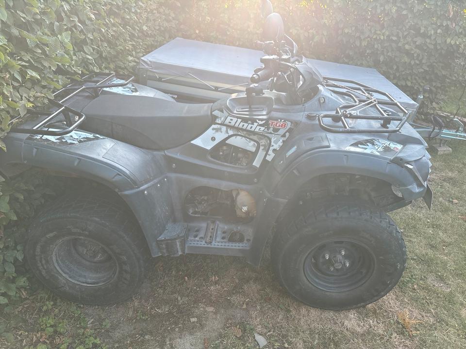 Weitere Motorräder Tgb Blade 325 2013 — rear view