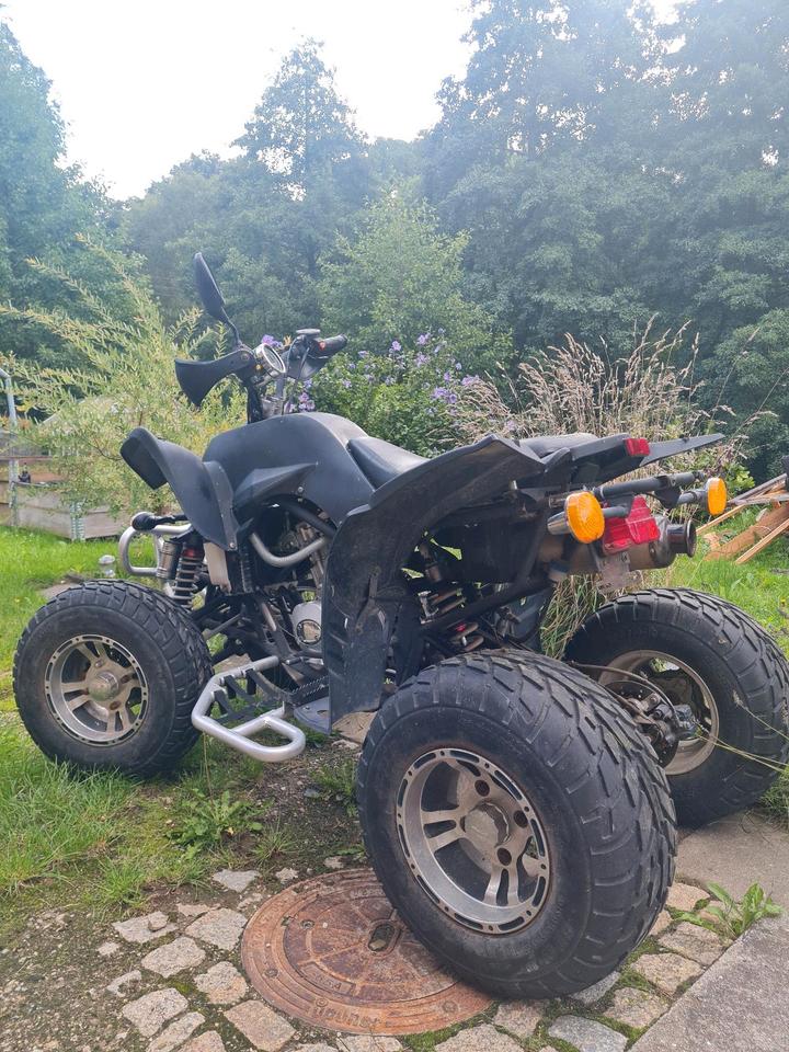 Weitere Motorräder Quad EAGLE MOTORSPORTS 2010 — rear view