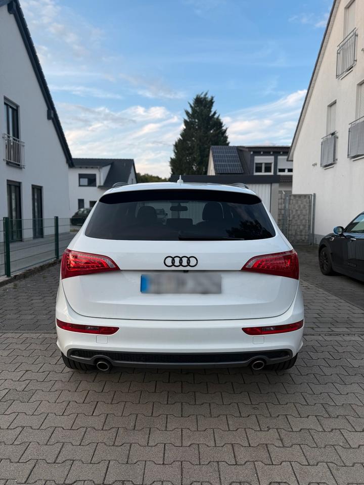 Audi Q5 2011 — rear view