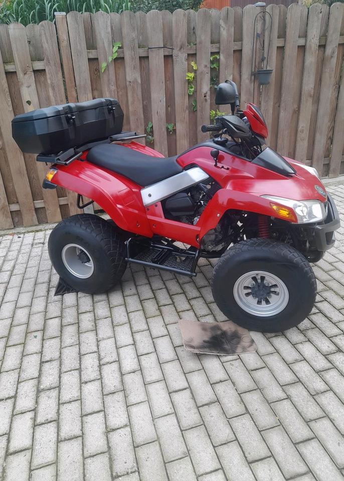 Weitere Motorräder Quad Lander 250 2006 — rear view