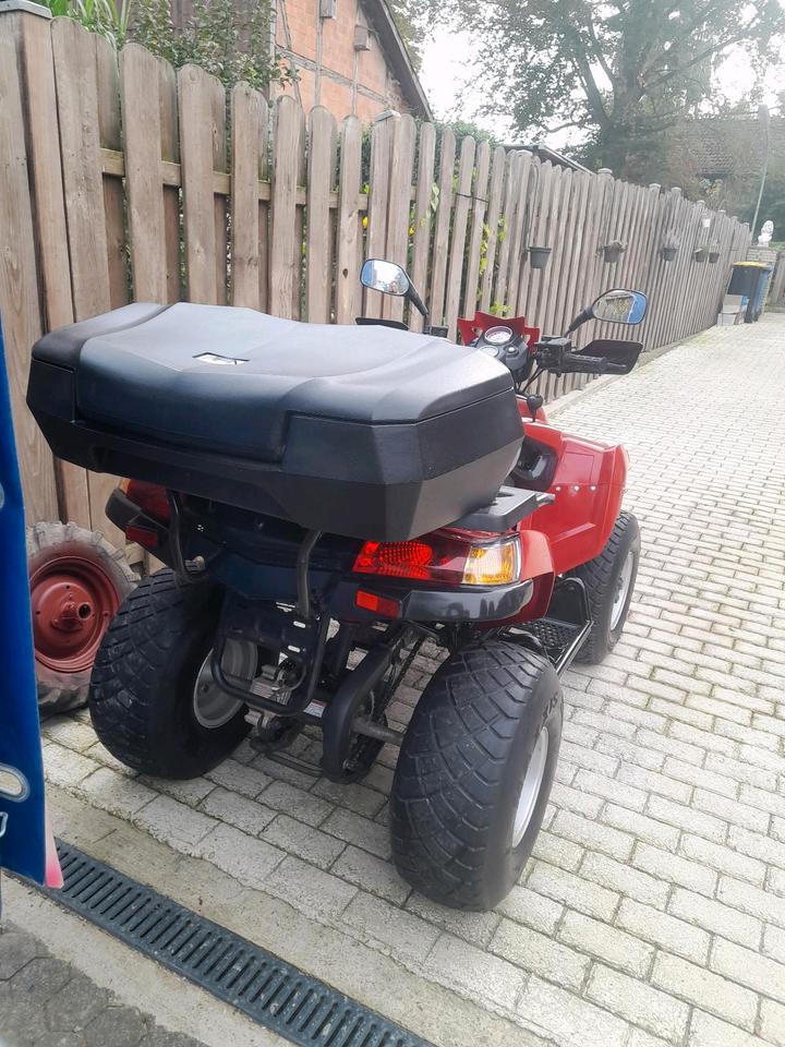 Weitere Motorräder Quad Lander 250 2006 — photo 5