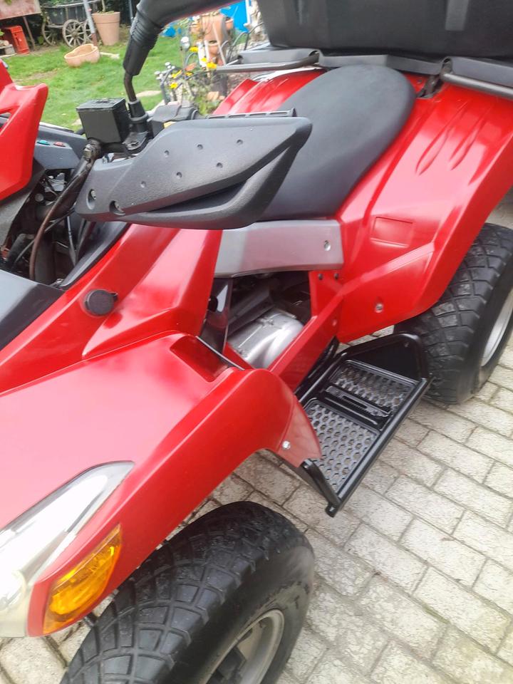 Weitere Motorräder Quad Lander 250 2006 — photo 7