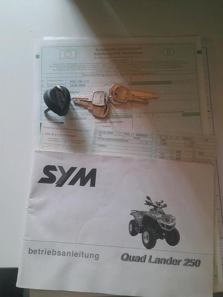 Weitere Motorräder Quad Lander 250 2006 — photo 8