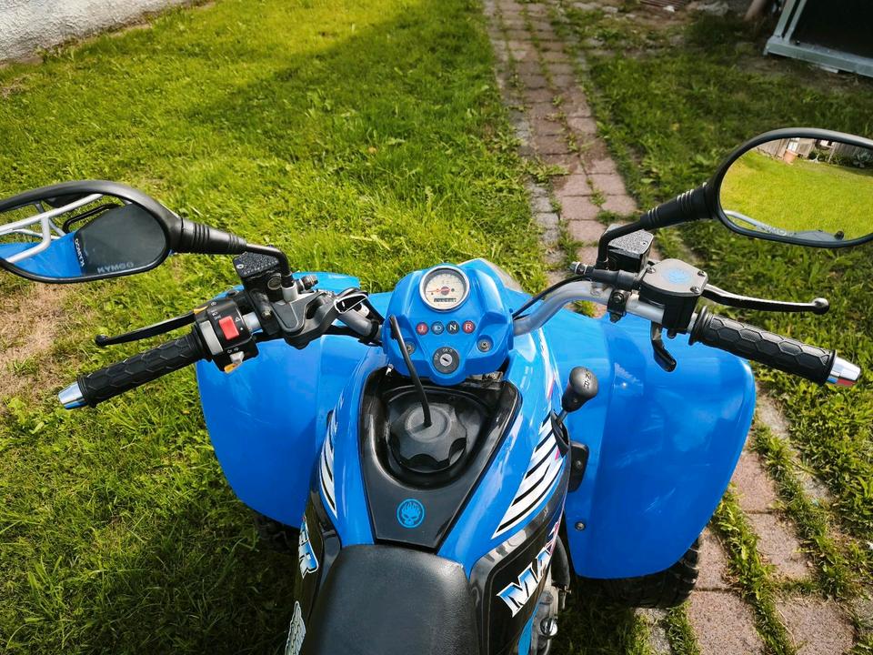 Kymco Maxxer 250 2010 — photo 10