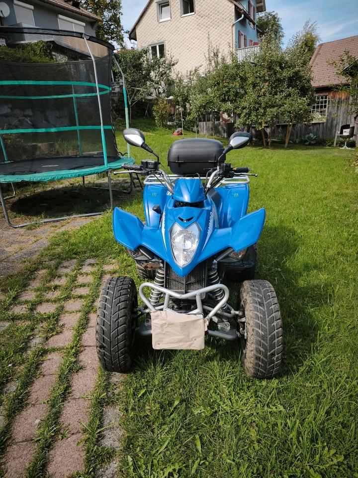 Kymco Maxxer 250 2010 — rear view