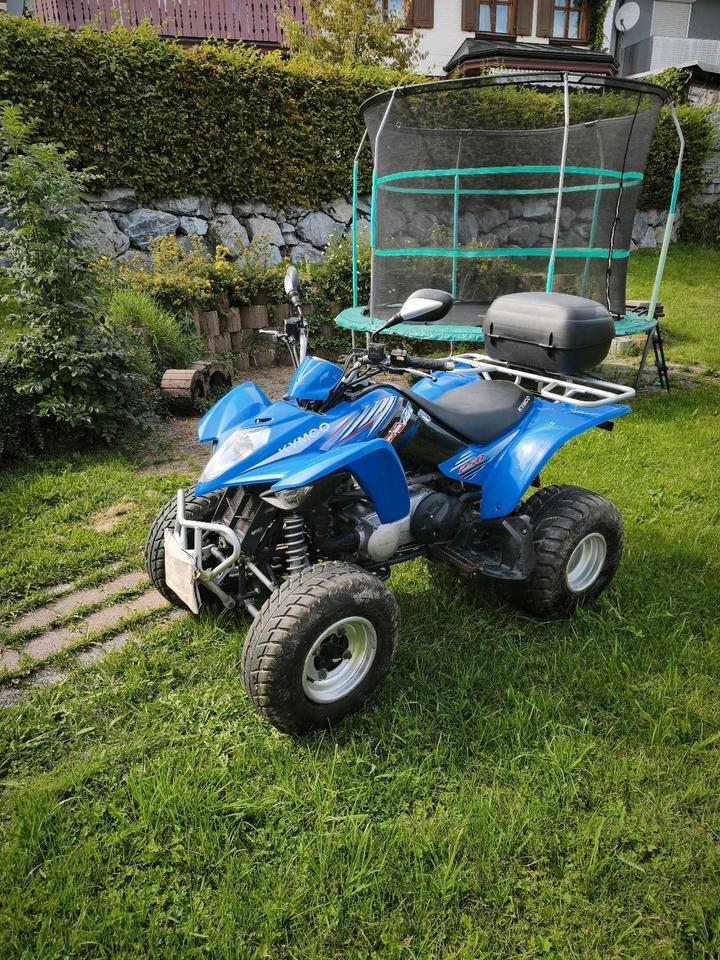 Kymco Maxxer 250 2010 — interior