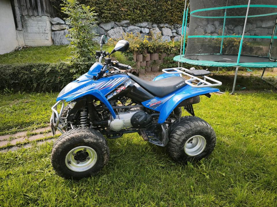 Kymco Maxxer 250 2010 — engine 249 ccm