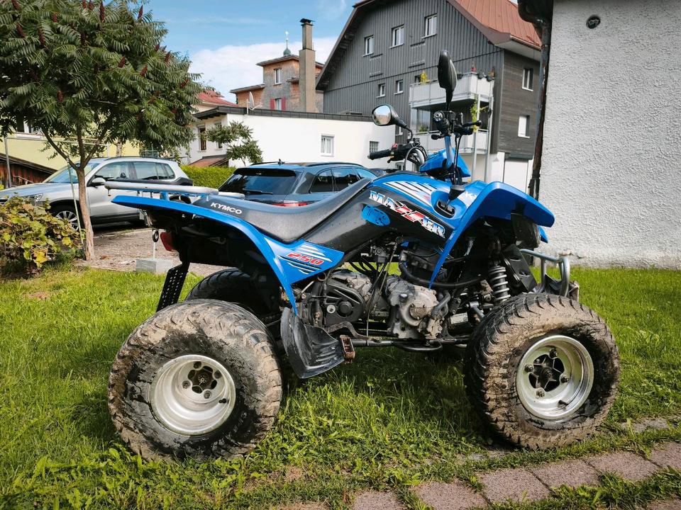 Kymco Maxxer 250 2010 — photo 8