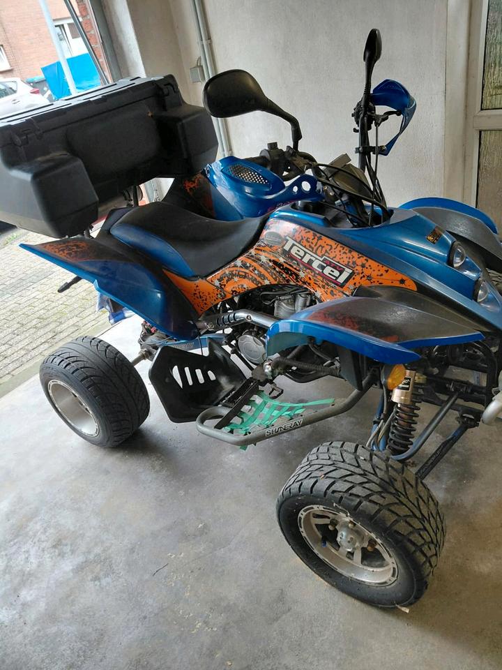 Weitere Motorräder Quad Shineray/Spyder 2011 — rear view