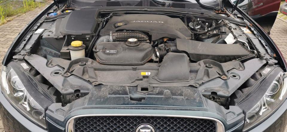 Jaguar XF 2015 — photo 12