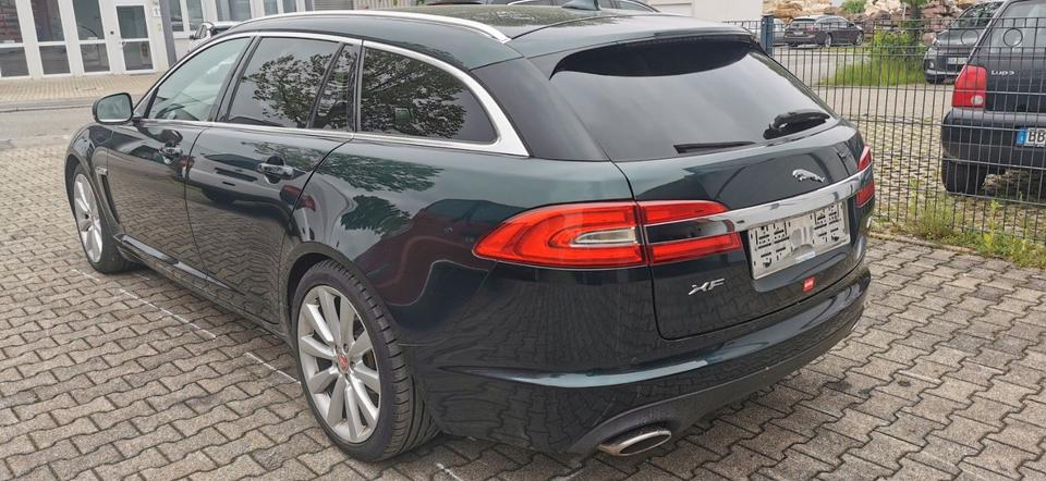 Jaguar XF 2015 — photo 6