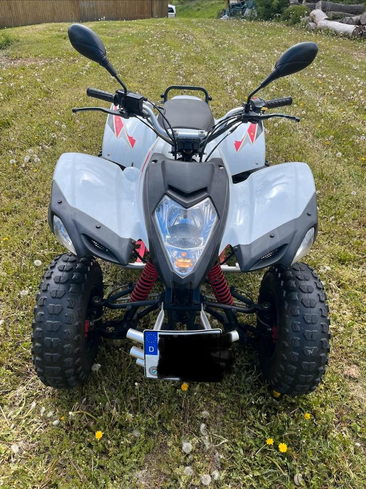 Weitere Motorräder Quad Bestia Beeline 3.3, 2013
