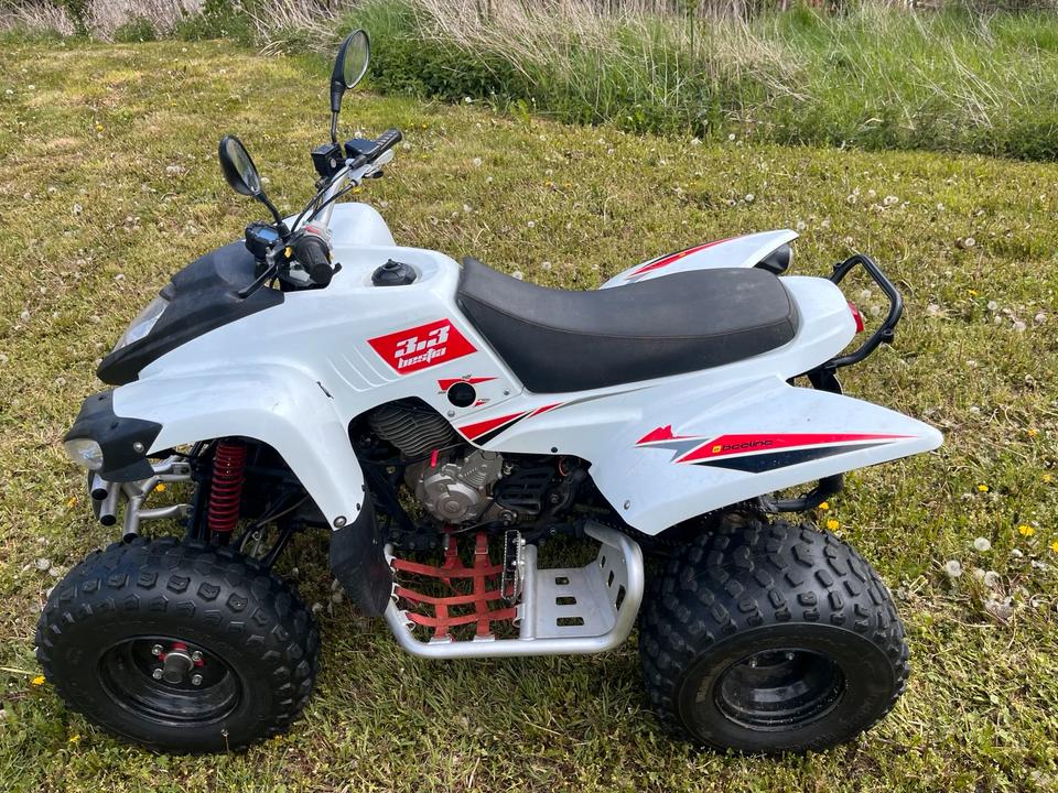 Weitere Motorräder Quad Bestia Beeline 3.3 2013 — rear view
