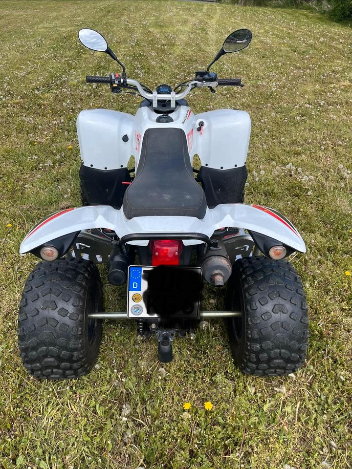 Weitere Motorräder Quad Bestia Beeline 3.3 2013 — interior